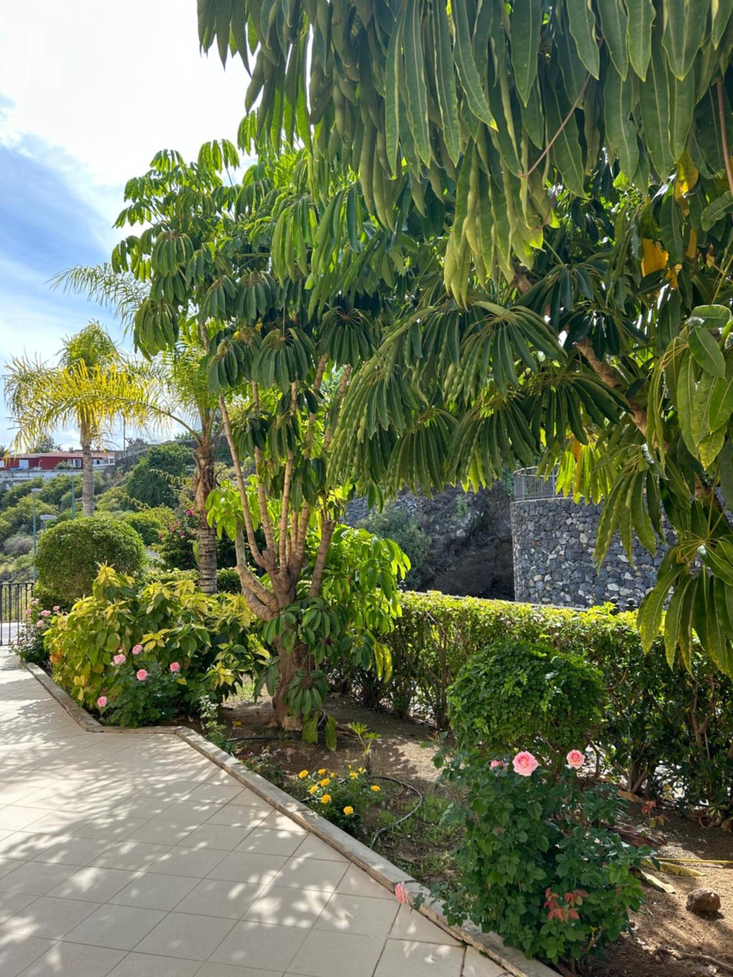 Hermosa Vista Puerto de la Cruz  Luaran gambar